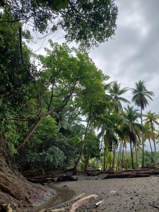 Casa Bahia Ale, Bahia Ballena Увита Экстерьер фото